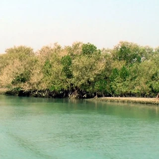 طرح توجیهی منطقه نمونه گردشگری ( تفریحی و توریستی ) خور آذینی میناب