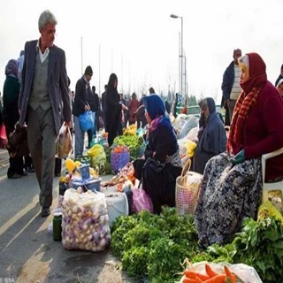 طرح توجیهی احداث بازارچه روباز (Wet Market) با فرمت ورد