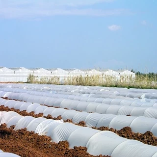 طرح توجیهی تولید نایلون عریض کشاورزی