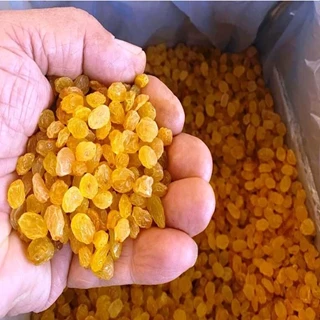 طرح توجیهی تولید و بسته بندی انواع کشمش و خرما اکسل سال 1401 