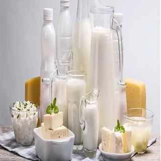 طرح توجیهی تولید محصولات لبنی مغذی 