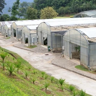 طرح توجیهی احداث گلخانه با فرمتPDF