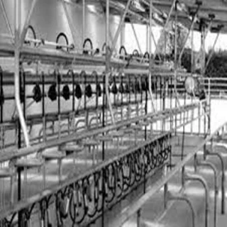 طرح توجیهی تولید شیردوشهای صنعتی