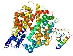 طرح توجیهی آنزیم تجاری