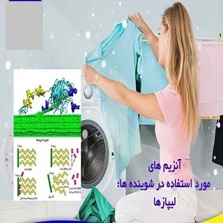 طرح توجیهی تولید آنزیم صنعتی 