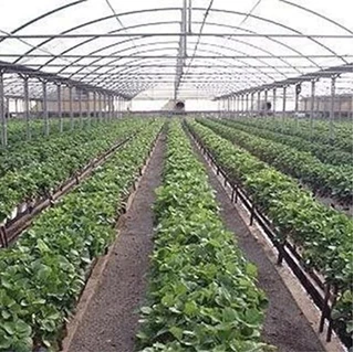 طرح توجیهی احداث گلخانه 2 با فرمتPDF