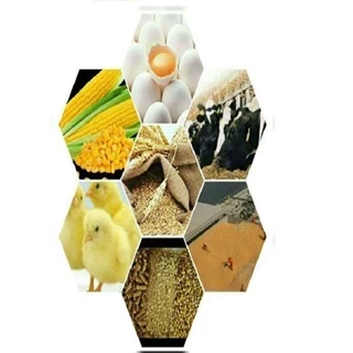 طرح توجیهی تولید آنزیم های خوراک دام و طیور