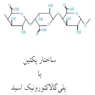 طرح توجیهی  تولید آنزیم پکتین استراز