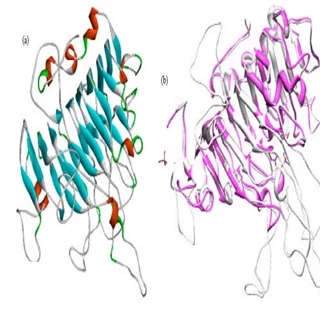 طرح توجیهی  تولید آنزیم پکتین استراز