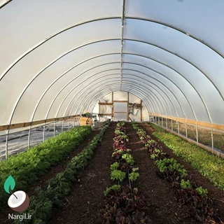 طرح توجیهی احداث گلخانه با فرمتWORD