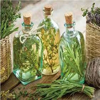 طرح توجیهی تولید نوشیدنی های گیاهی