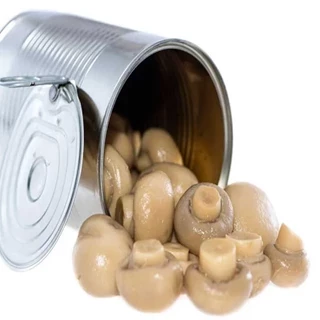 طرح توجیهی تولید کنسرو قارچ