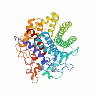 طرح توجیهی تولید آنزیم سلولاز