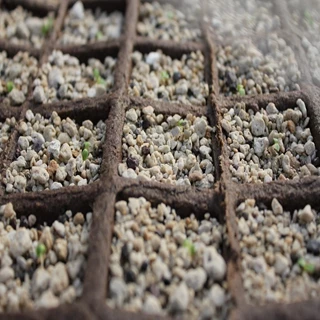 طرح توجیهی تولید پوکه و کلوخه های سبک شده