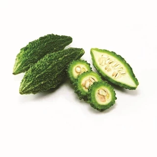 طرح توجیهی کشت وفراوری خربزه تلخ 