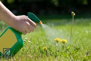 طرح توجیهی تولید سموم دفع علفهای هرز