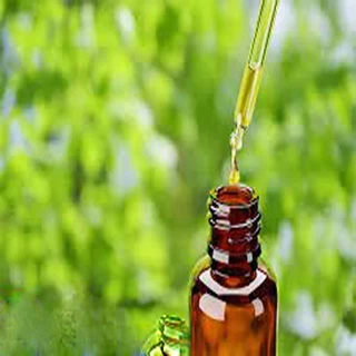 طرح توجیهی ﺗﻮﻟﻴﺪاﻟﻜﻞ از ﺧﺮﻣﺎ