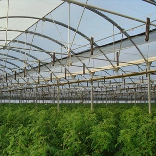 طرح توجیهی احداث گلخانه 2 با فرمتWORD