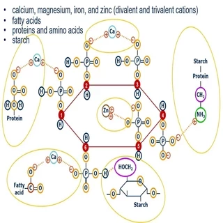 طرح توجیهی تولید آنزیم های خوراک دام و طیور