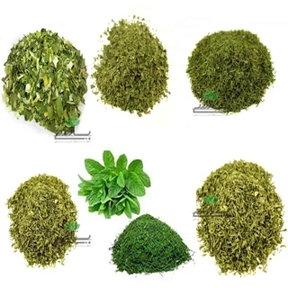 طرح توجیهی تولید و بسته بندی انواع سبزی خشک