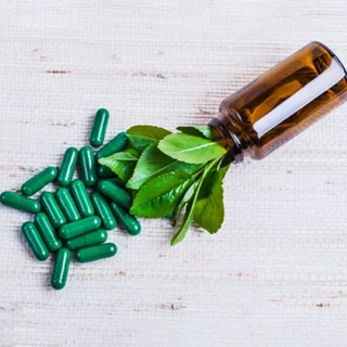 طرح توجیهی تولید محصولات پزشکی،داروئی و بهداشتی از احشاء کوسه