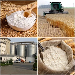 طرح توجیهی تولید انواع آرد 