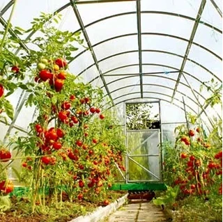 طرح توجیهی احداث گلخانه 2 با فرمتPDF