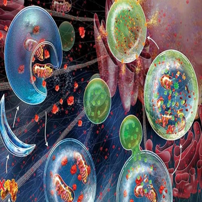 طرح توجیهی تولید آنزیم های صنعتی پکتیناز ، لیپاز ، سلولاز ، آمیلاز و کیموزین میکروبی