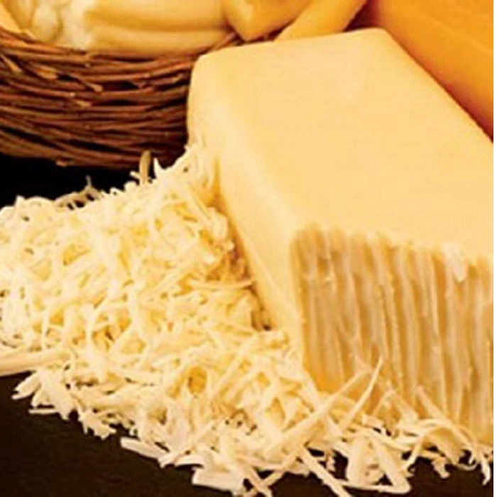 طرح توجیهی احداث کارخانه تولید پنیر پیتزا پروسس و لخته پنیر