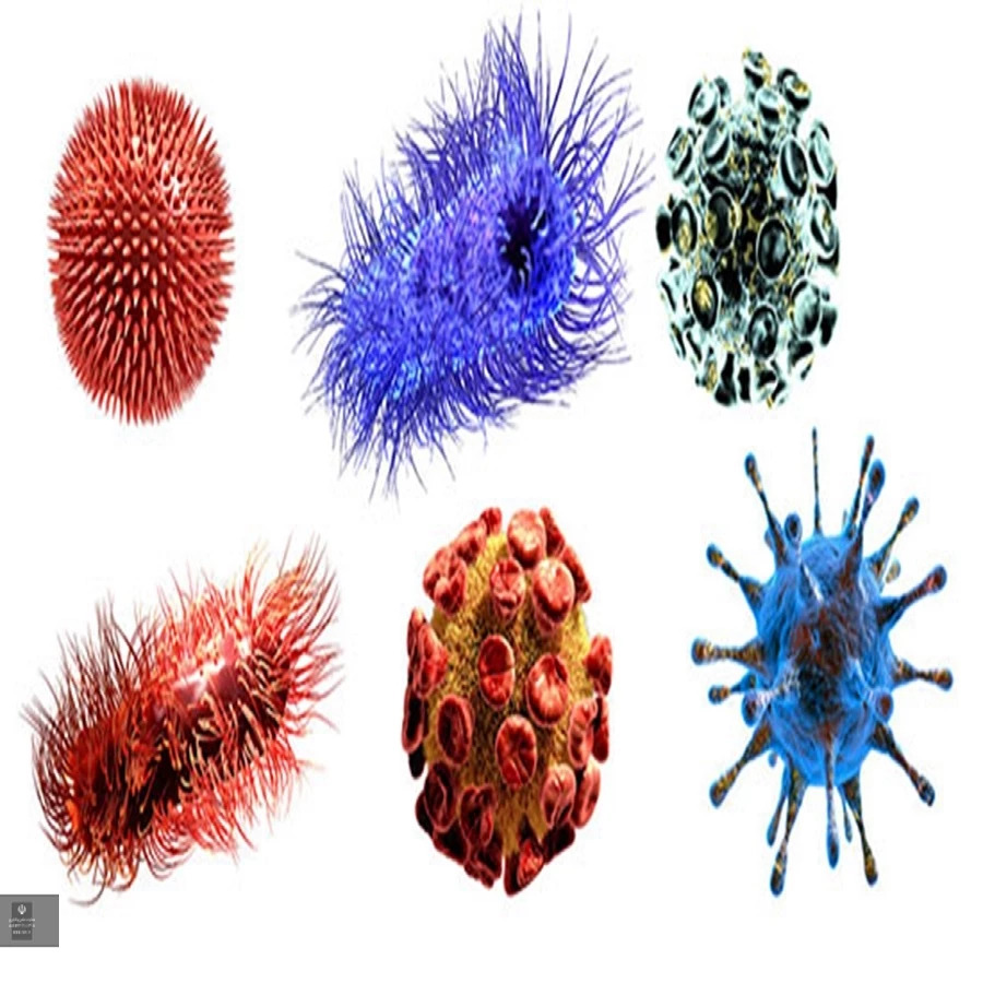 طرح توجیهی تولید آنزیم های صنعتی پکتیناز ، لیپاز ، سلولاز ، آمیلاز و کیموزین میکروبی