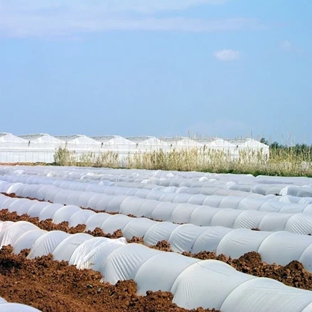 طرح توجیهی تولید نایلون عریض کشاورزی