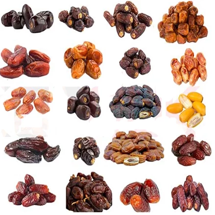 طرح توجیهی تولید و بسته بندی انواع کشمش و خرما اکسل سال 1401 