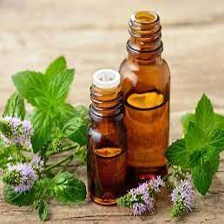 طرح توجیهی بخور اکالیپتوس با فرمت پی دی اف