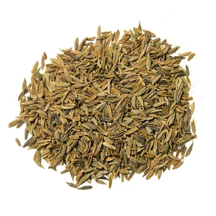 طرح توجیهی  پرورش زیره سبز word سال 1401