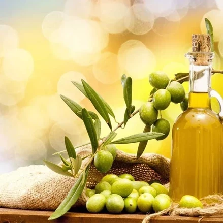 طرح توجیهی روغن گیری از دانه های روغنی و زیتون با ظرفیت 350 تن در سال 