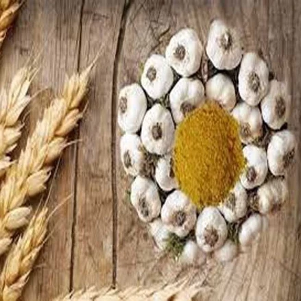 طرح توجیهی مطالعات امکانسنجی مقدماتی طرح احداث کارخانه تولید پودر سیر با گرید دامی 