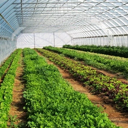 طرح توجیهی احداث گلخانه 2 با فرمتPDF