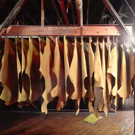 طرح توجیهی تولید سالامبور 