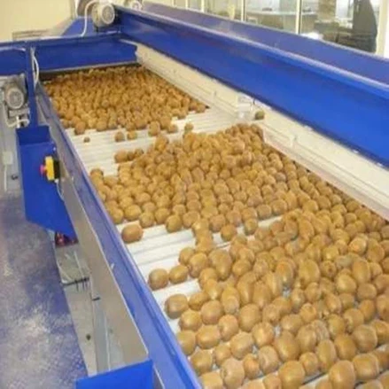 طرح توجیهی تولید سورت و نگهداری فنی میوه 