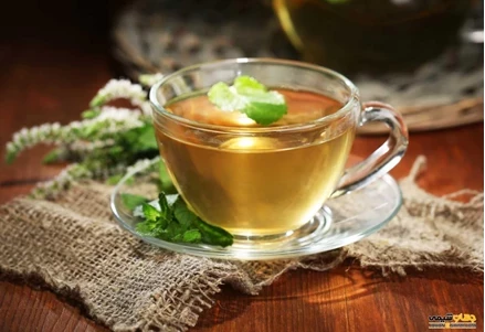 طرح توجیهی تولید بادرنجبویه