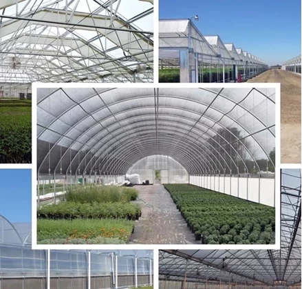 طرح توجیهی احداث گلخانه با فرمتPDF