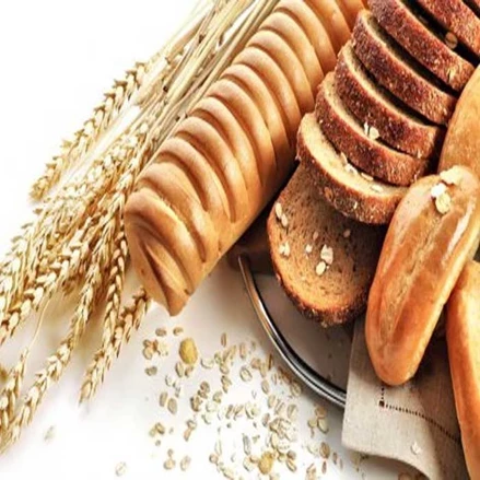 طرح توجیهی احداث واحد تولید نان صنعتی  با فرمت پی دی اف