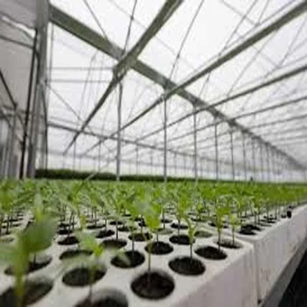 طرح توجیهی احداث گلخانه تولید نهال
