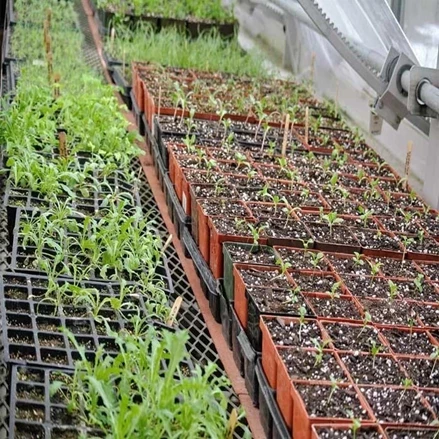 طرح توجیهی تولید گلخانه ای محصولات کشاورزی دزفول