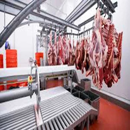 طرح توجیهی کشتارگاه دام سنگین با فرمت ورد