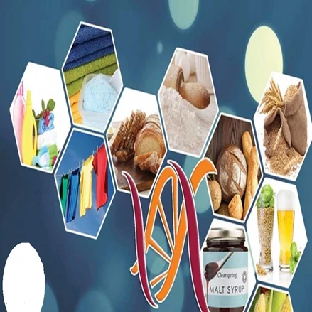 طرح توجیهی تولید آنزیم صنعتی 