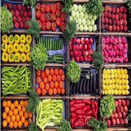 طرح توجیهی بسته بندی محصولات زراعی و باغی  و سردخانه 5000 تنی