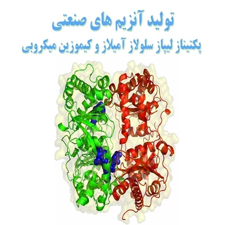 طرح توجیهی تولید آنزیم های صنعتی پکتیناز ، لیپاز ، سلولاز ، آمیلاز و کیموزین میکروبی
