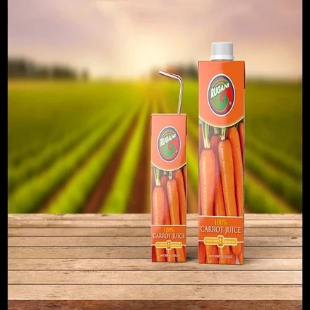 طرح توجیهی بسته بندی آب هویج