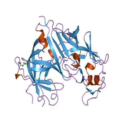 طرح توجیهی تولید آنزیم رنین